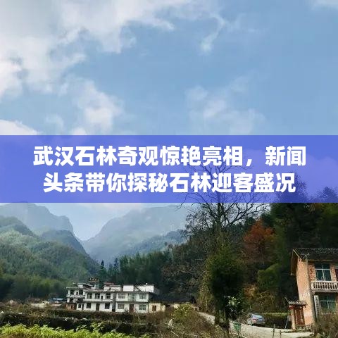武漢石林奇觀驚艷亮相，新聞?lì)^條帶你探秘石林迎客盛況