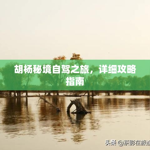 將計就計 第2頁