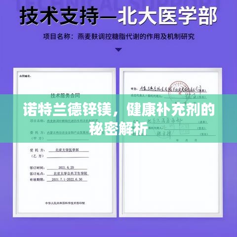 諾特蘭德鋅鎂，健康補(bǔ)充劑的秘密解析
