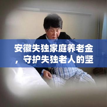 安徽失獨(dú)家庭養(yǎng)老金，守護(hù)失獨(dú)老人的堅(jiān)實(shí)后盾