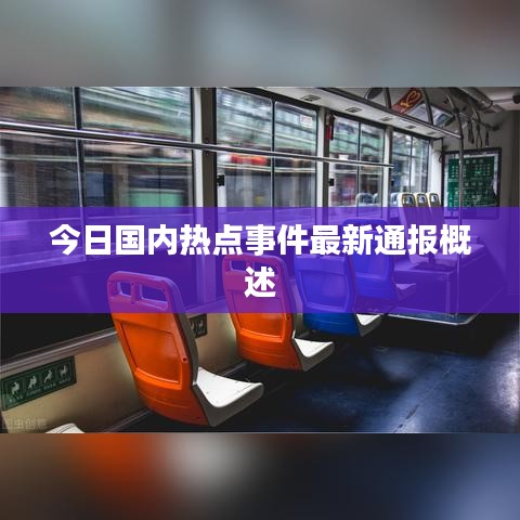 今日國內熱點事件最新通報概述