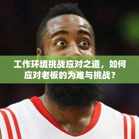 工作環(huán)境挑戰(zhàn)應(yīng)對之道，如何應(yīng)對老板的為難與挑戰(zhàn)？