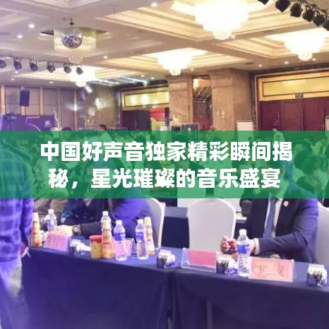 中國好聲音獨(dú)家精彩瞬間揭秘，星光璀璨的音樂盛宴