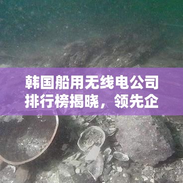 韓國船用無線電公司排行榜揭曉，領(lǐng)先企業(yè)一覽