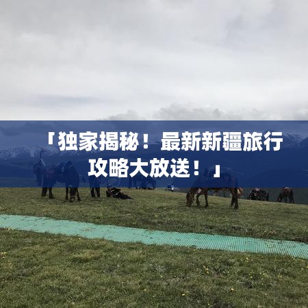 「獨家揭秘！最新新疆旅行攻略大放送！」
