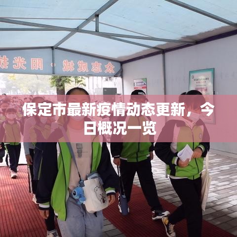 保定市最新疫情動(dòng)態(tài)更新，今日概況一覽