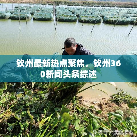 欽州最新熱點(diǎn)聚焦，欽州360新聞?lì)^條綜述