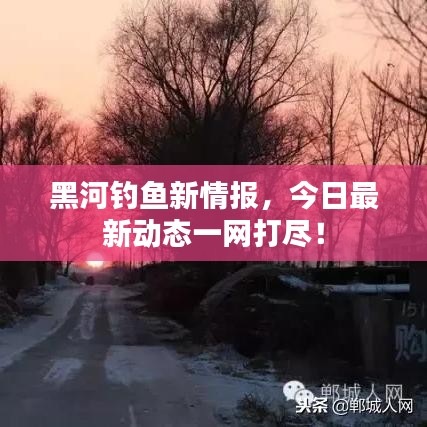 黑河釣魚新情報(bào)，今日最新動(dòng)態(tài)一網(wǎng)打盡！