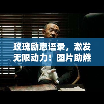 玫瑰勵(lì)志語(yǔ)錄，激發(fā)無(wú)限動(dòng)力！圖片助燃心靈之火