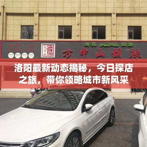 洛陽(yáng)最新動(dòng)態(tài)揭秘，今日探店之旅，帶你領(lǐng)略城市新風(fēng)采