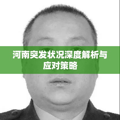 河南突發(fā)狀況深度解析與應(yīng)對策略