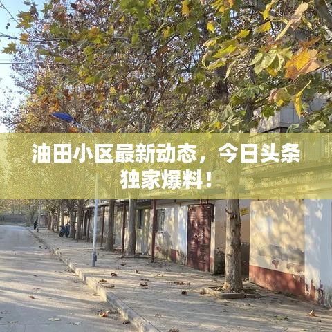就地取材 第2頁