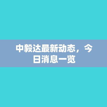 中毅達(dá)最新動(dòng)態(tài)，今日消息一覽