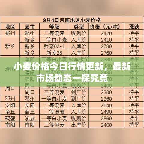 小麥價格今日行情更新，最新市場動態(tài)一探究竟