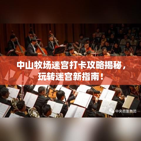 中山牧場(chǎng)迷宮打卡攻略揭秘，玩轉(zhuǎn)迷宮新指南！