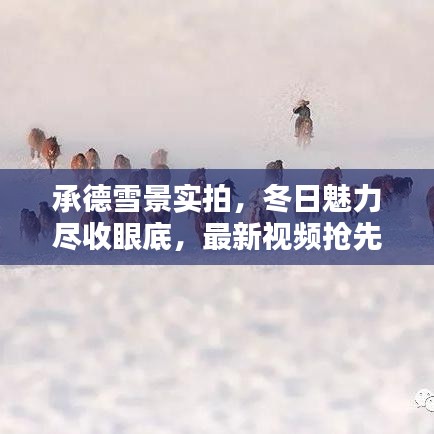 承德雪景實(shí)拍，冬日魅力盡收眼底，最新視頻搶先看！