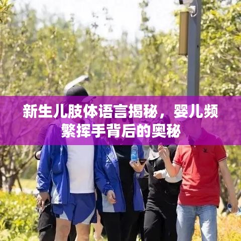 新生兒肢體語(yǔ)言揭秘，嬰兒頻繁揮手背后的奧秘