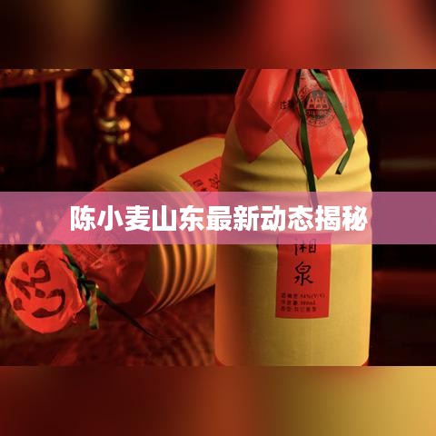 陳小麥山東最新動態(tài)揭秘