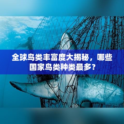 全球鳥類豐富度大揭秘，哪些國家鳥類種類最多？