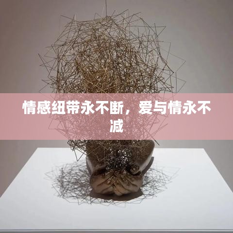 鳥覆危巢 第2頁(yè)