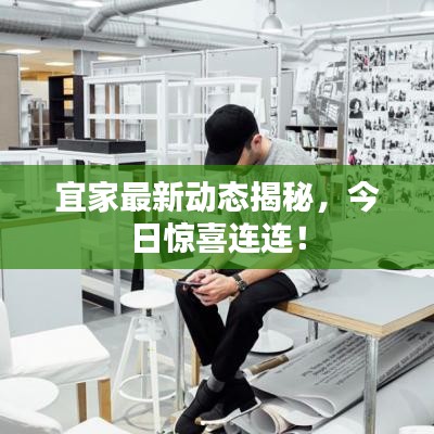 宜家最新動(dòng)態(tài)揭秘，今日驚喜連連！
