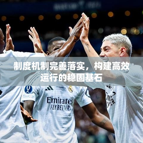 制度機制完善落實，構建高效運行的穩(wěn)固基石