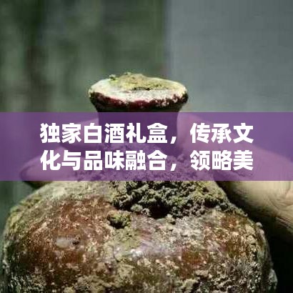 獨(dú)家白酒禮盒，傳承文化與品味融合，領(lǐng)略美酒之韻
