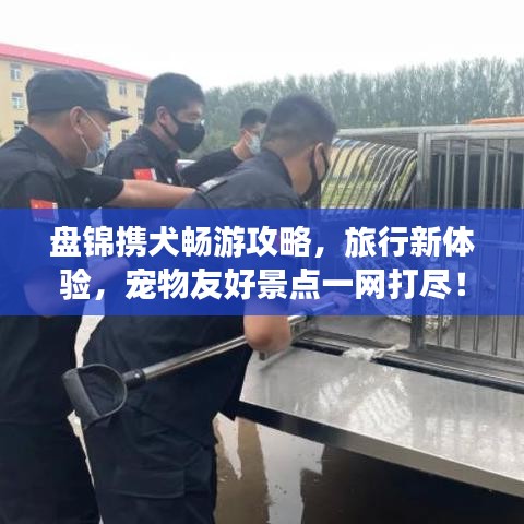 盤錦攜犬暢游攻略，旅行新體驗(yàn)，寵物友好景點(diǎn)一網(wǎng)打盡！