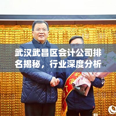 武漢武昌區(qū)會計公司排名揭秘，行業(yè)深度分析與解讀