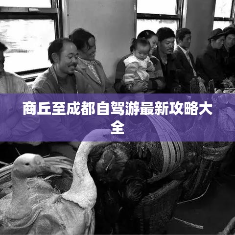 商丘至成都自駕游最新攻略大全