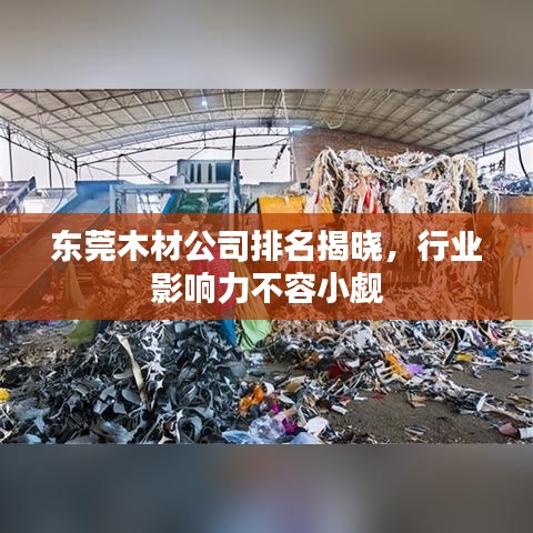 東莞木材公司排名揭曉，行業(yè)影響力不容小覷