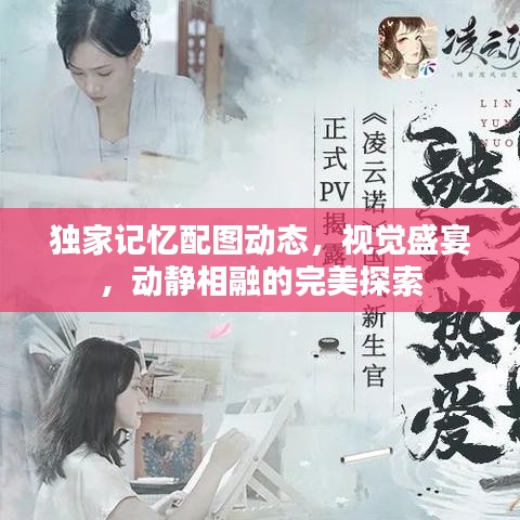 獨(dú)家記憶配圖動(dòng)態(tài)，視覺盛宴，動(dòng)靜相融的完美探索