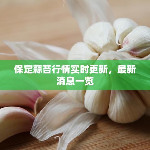 保定蒜苔行情實(shí)時(shí)更新，最新消息一覽