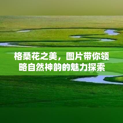 格?；ㄖ?，圖片帶你領(lǐng)略自然神韻的魅力探索