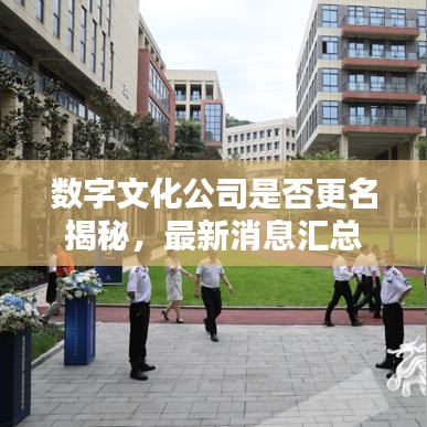 數(shù)字文化公司是否更名揭秘，最新消息匯總
