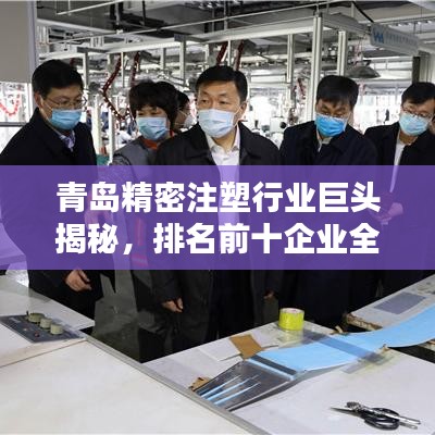 青島精密注塑行業(yè)巨頭揭秘，排名前十企業(yè)全景概覽