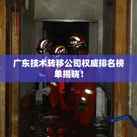 廣東技術(shù)轉(zhuǎn)移公司權(quán)威排名榜單揭曉！