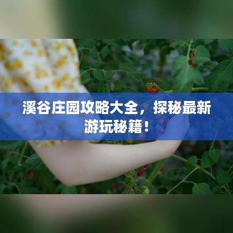 溪谷莊園攻略大全，探秘最新游玩秘籍！