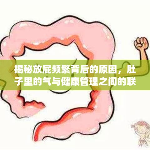 揭秘放屁頻繁背后的原因，肚子里的氣與健康管理之間的聯(lián)系