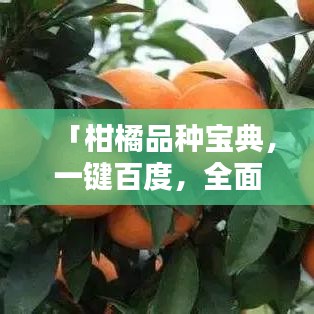 「柑橘品種寶典，一鍵百度，全面知識掌握」