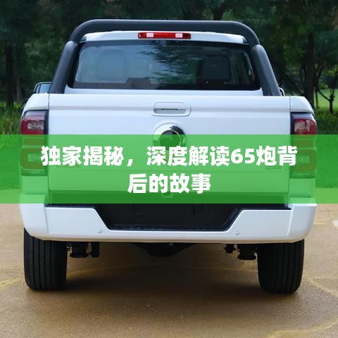 獨家揭秘，深度解讀65炮背后的故事