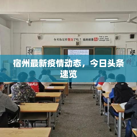 宿州最新疫情動(dòng)態(tài)，今日頭條速覽