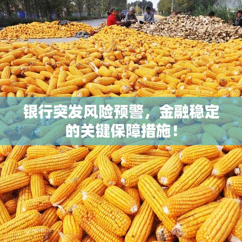 銀行突發(fā)風(fēng)險預(yù)警，金融穩(wěn)定的關(guān)鍵保障措施！