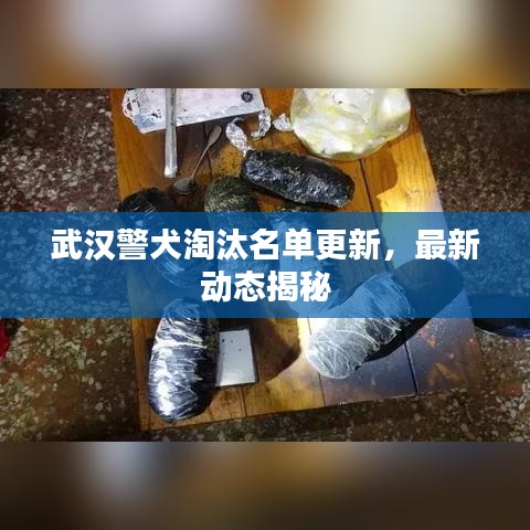 拾金不昧 第2頁(yè)
