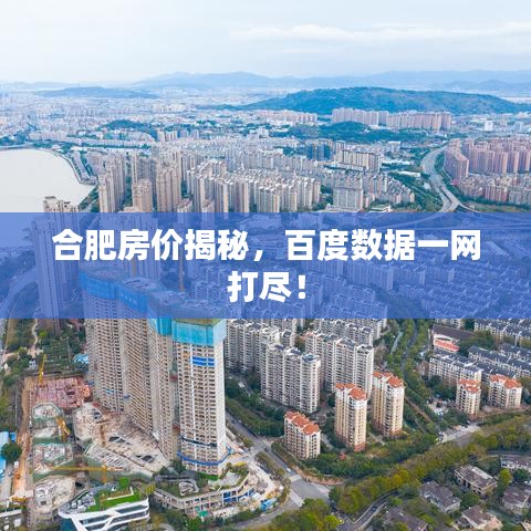 合肥房?jī)r(jià)揭秘，百度數(shù)據(jù)一網(wǎng)打盡！