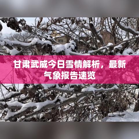 甘肅武威今日雪情解析，最新氣象報告速覽