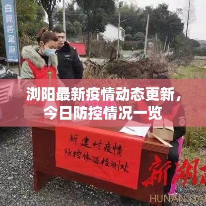 瀏陽最新疫情動態(tài)更新，今日防控情況一覽