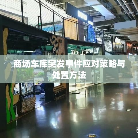商場車庫突發(fā)事件應(yīng)對策略與處置方法