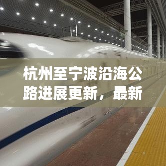 杭州至寧波沿海公路進展更新，最新消息揭秘建設(shè)動態(tài)