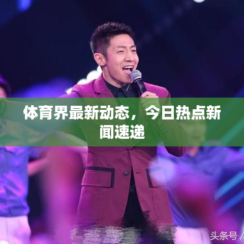 體育界最新動態(tài)，今日熱點新聞速遞
